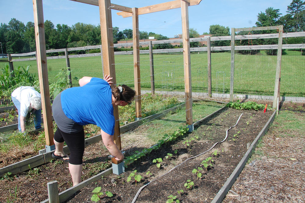 Starmount Gardening 3